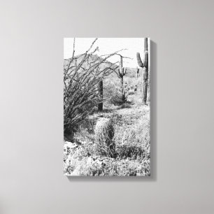 Cowboy Garden Canvas (AZ Sonoran Desert) Print