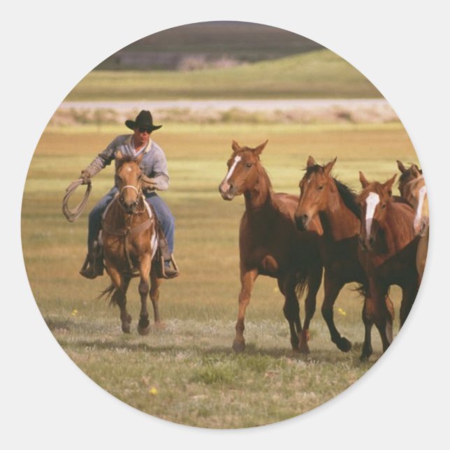 Cowboy Herding at the Ranch Classic Round Sticker (Front)