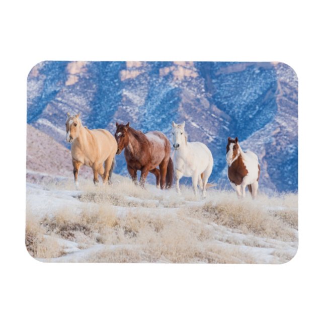Cowboy Horse Drive on Hideout Ranch Magnet (Horizontal)