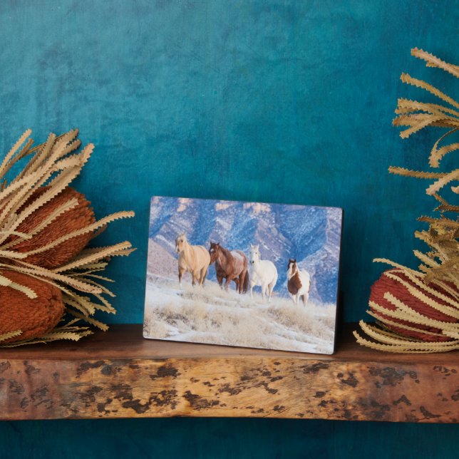 Cowboy Horse Drive on Hideout Ranch Plaque (Side)