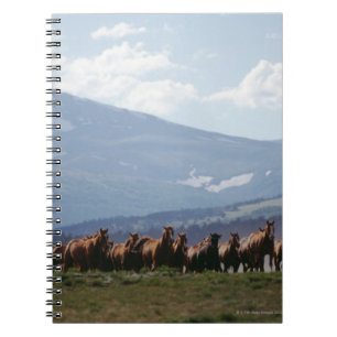 Cowboy moving herd of horses spiral notebook