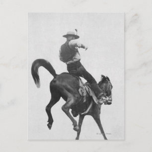 Cowboy Ned Coy Riding Bronco Postcard