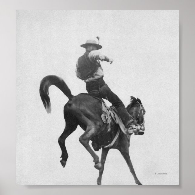 Cowboy Ned Coy Riding Bronco Poster (Front)