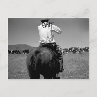 Cowboy on a horse with two brands. postcard