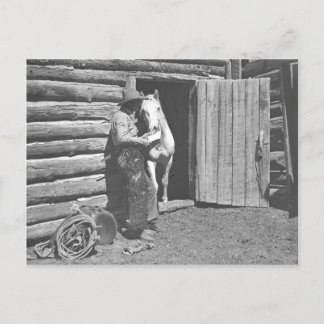 Cowboy reading a letter postcard