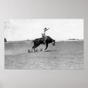 Cowboy Riding a Bucking Bull Poster