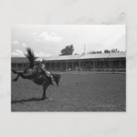 Cowboy riding horse in rodeo, (B&W)