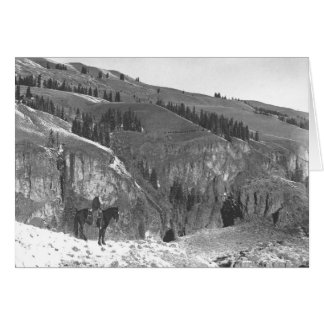 Cowboy separated from his herd.