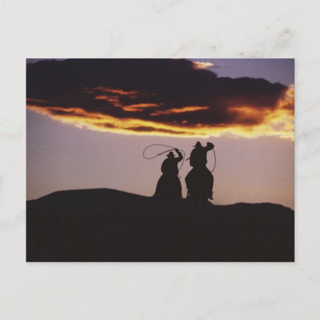 Cowboy Team with Lassoes Postcard (Front)