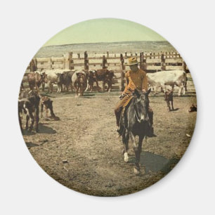 Cowboys and Cows Magnet