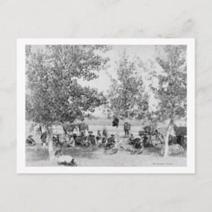 Cowboys Eating Dinner on Ground Under Trees Postcard