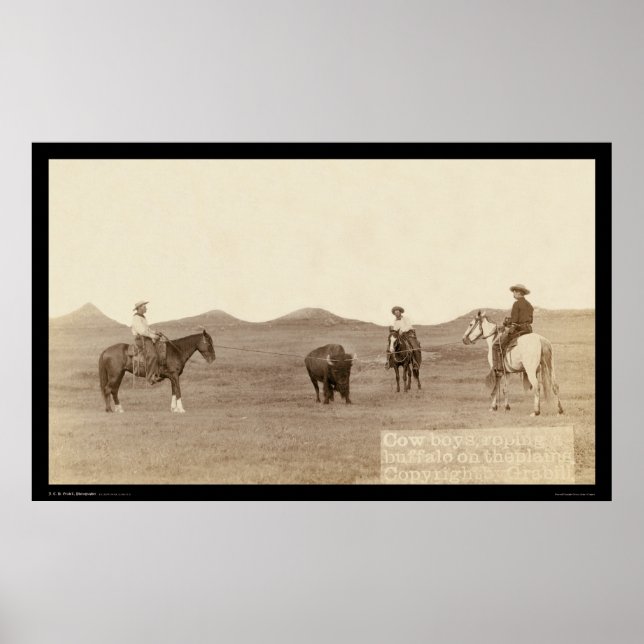 Cowboys Roping A Buffalo SD 1887 Poster (Front)
