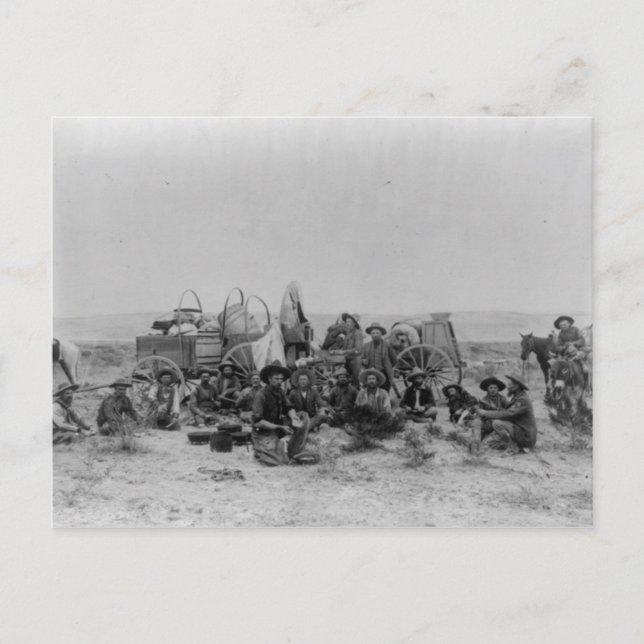Cowboys Sitting By Supply Wagons Postcard (Front)