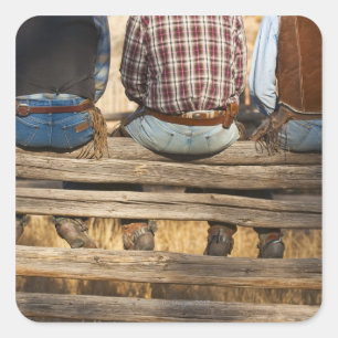 Cowboys sitting on fence square sticker