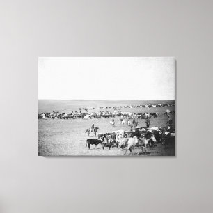 Cowboys with Cattle on the Range Photograph Canvas Print
