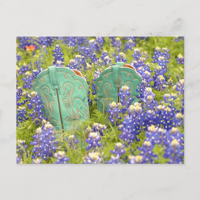 COWGIRL BOOTS POSTCARD (Front)