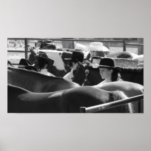Cowgirls Lined Up Poster