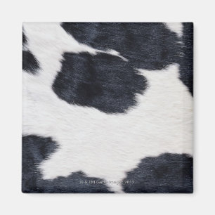 Cowhide Print Magnet