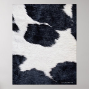Cowhide Print Poster
