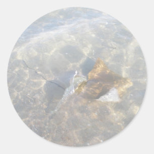 Cownose Stingray OBX Series Classic Round Sticker