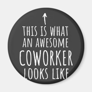 Coworker Gift, Coworker Mug, Awesome Coworker Magnet