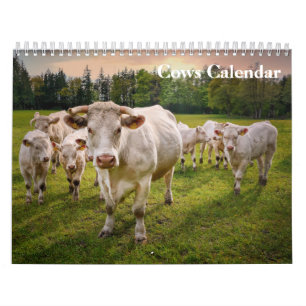 Cows 2025 Calendar
