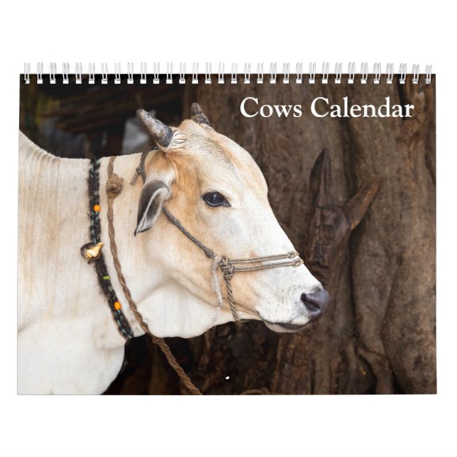 Cows 2026 Calendar (Cover)