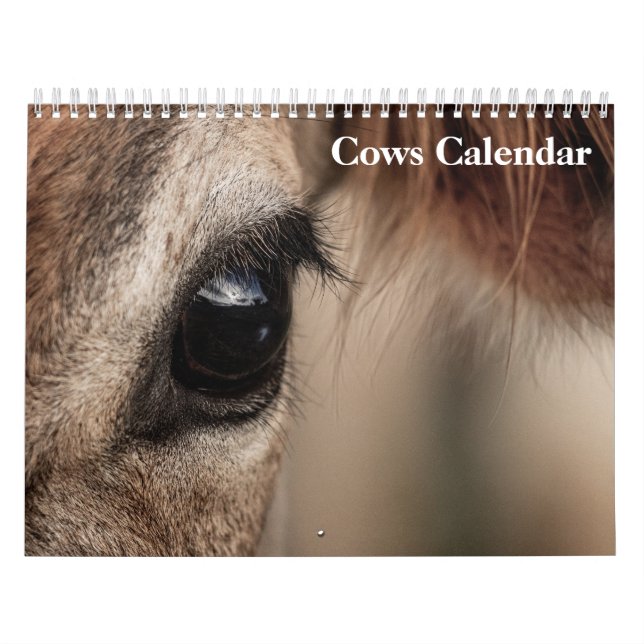Cows 2027 Calendar (Cover)