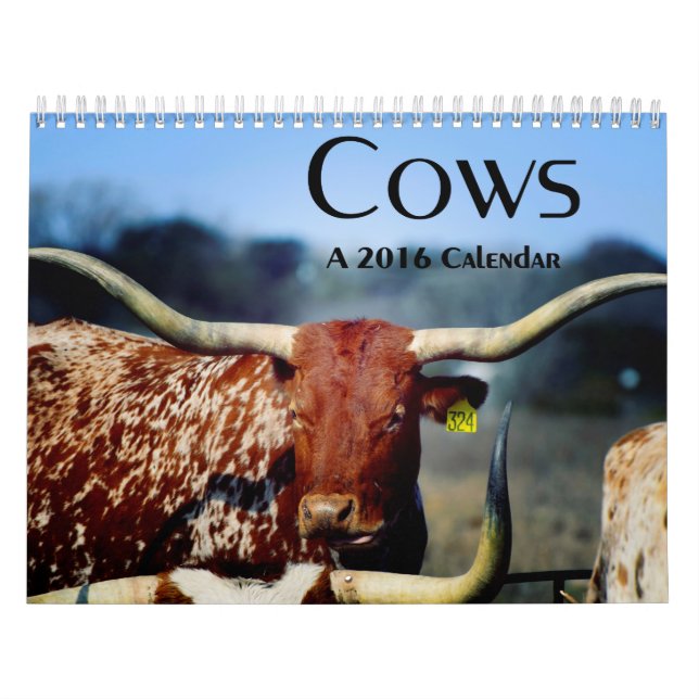 Cows, A 2016 Calendar (Cover)