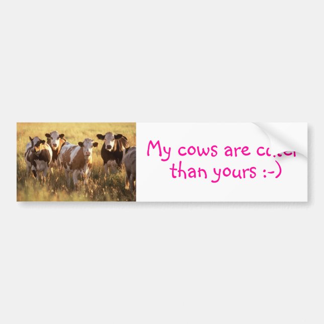Cows Bumper Sticker (Front)