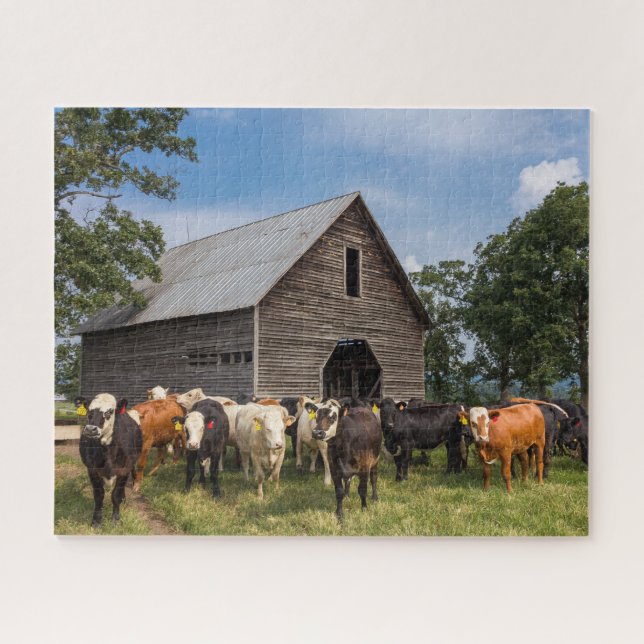 cows by the barn jigsaw puzzle (Horizontal)