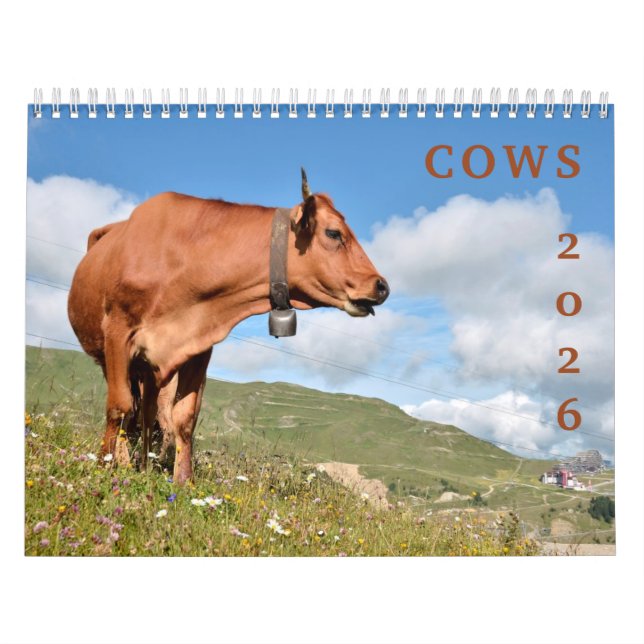 Cows calendar (Cover)