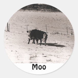 cows classic round sticker