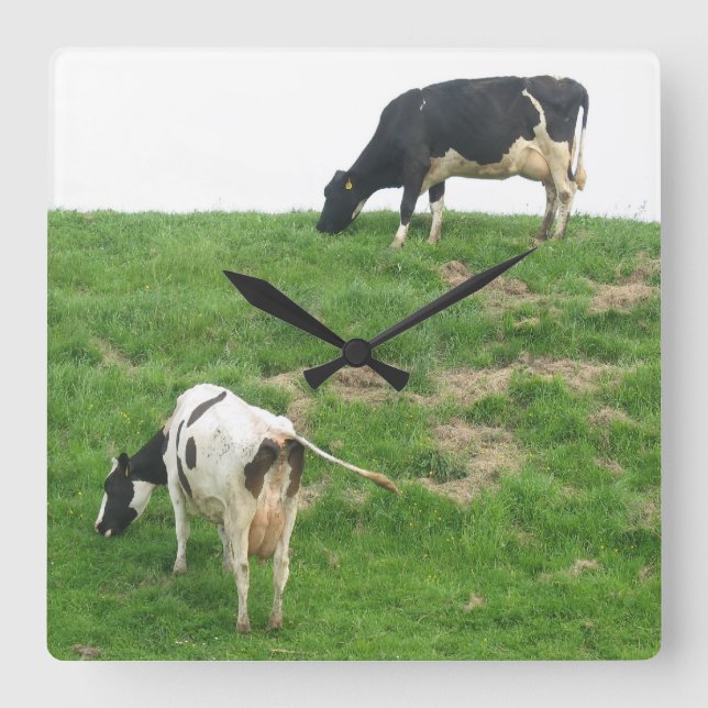 Cows Clock (Front)