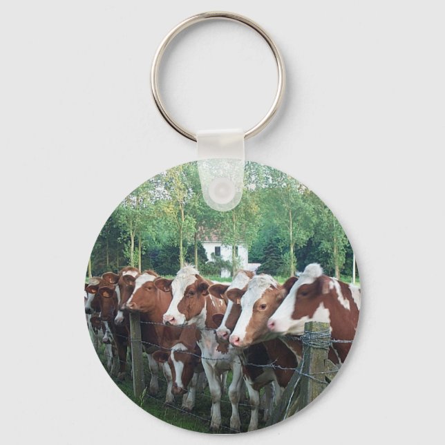 Cows Curious Key Ring (Front)
