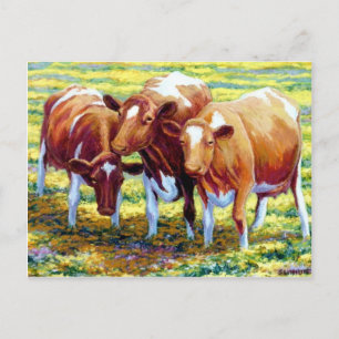Cows Dairy Cow in Pasture Field Painting Picture Postcard