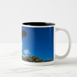 Cows feeding on pasture 2 Two-Tone coffee mug