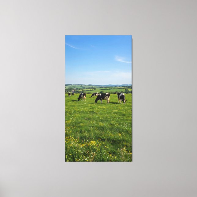 Cows grazing on green grass under a clear blue sky canvas print (Front)