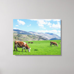 Cows grazing view canvas print