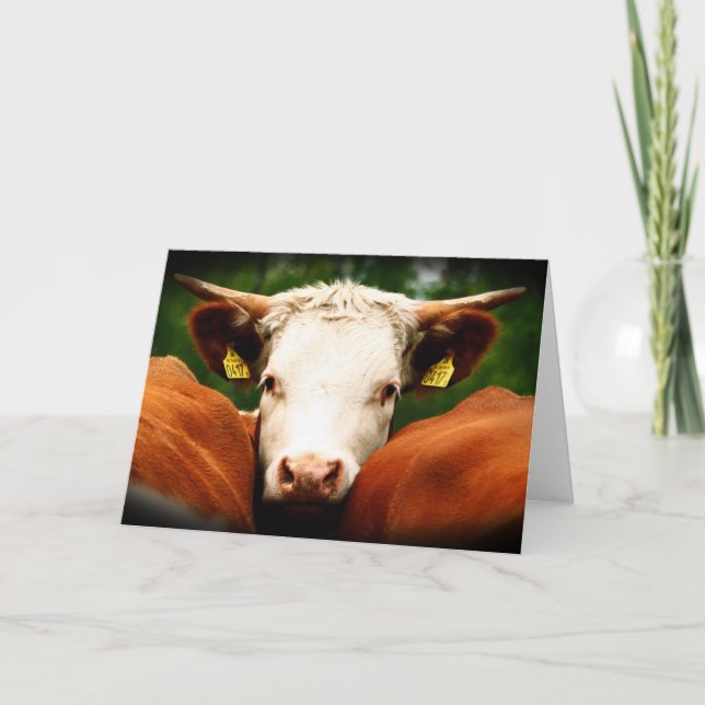 Cows Head Card (Front)