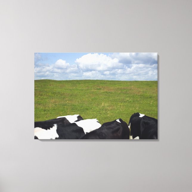 Cows in a pasture canvas print (Front)