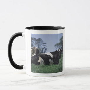 cows in a pasture mug