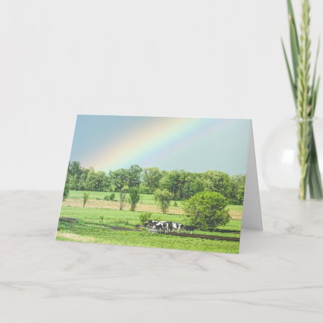 Cows in a Pasture + Rainbow Greeting Card (Front)