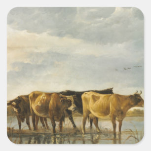 Cows in a River Aelbert Cuyp Square Sticker