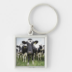 Cows In a Row Key Ring