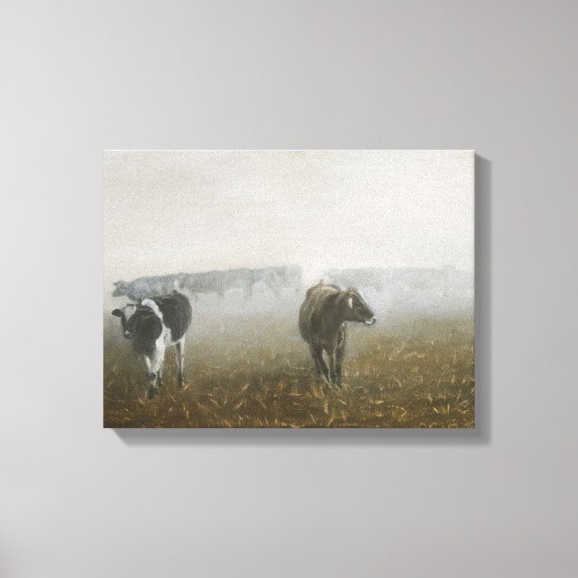 Cows in Corn Field Canvas Print (Front)