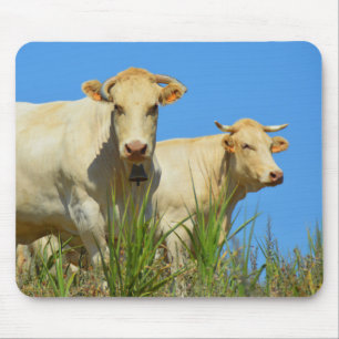 Cows in France animal Mouse Pad