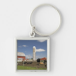 Cows in front of a red barn and silo on a farm key ring