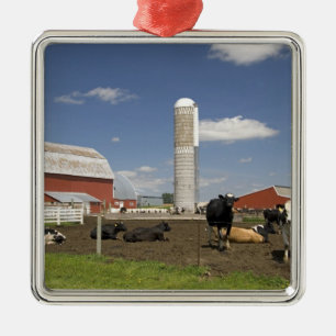 Cows in front of a red barn and silo on a farm metal tree decoration