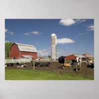 Cows in front of a red barn and silo on a farm
